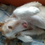 20160426_141556_resized